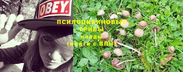 ГАЛЛЮЦИНОГЕННЫЕ ГРИБЫ Володарск